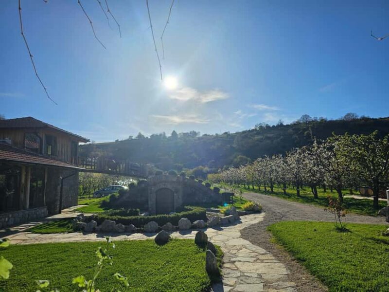 Ohrid: Distillery Balaklija Traditional Rakia Tasting - Discover the Charm of Distillery Balaklija’s Traditional Rakia Tasting