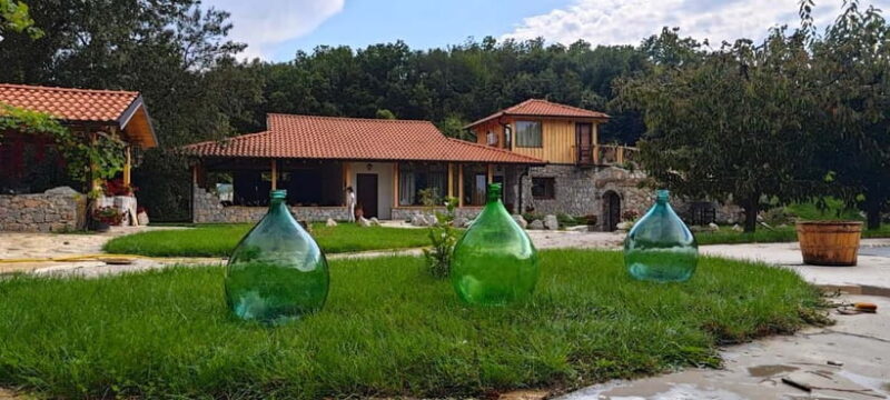 Ohrid: Distillery Balaklija Traditional Rakia Tasting - Key Points