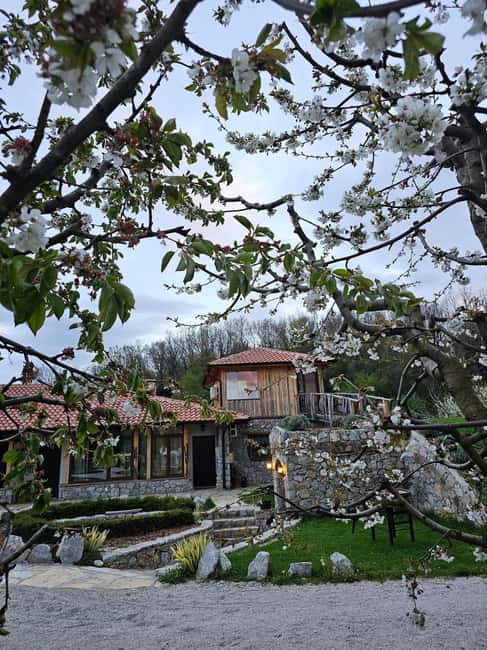 Ohrid: Distillery Balaklija Traditional Rakia Tasting - The Tasting of Premium Homemade Rakia and Liquors