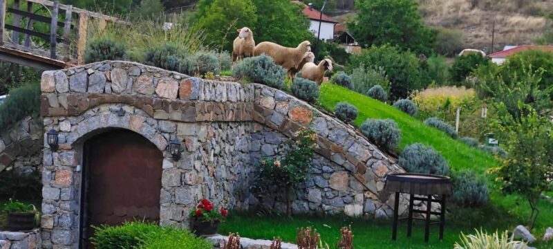 Ohrid: Distillery Balaklija Traditional Rakia Tasting - Guided Tour and Insights into Macedonian Agritourism