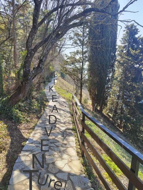 Ohrid: Old Town Bike Rental - Why Choose Old Town-Renting in Ohrid?