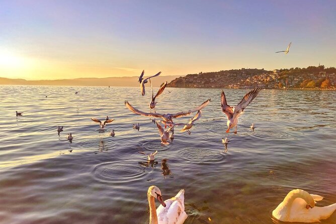 Ohrid one day trip from Pristina - Exploring Ohrid’s Cultural and Architectural Landmarks