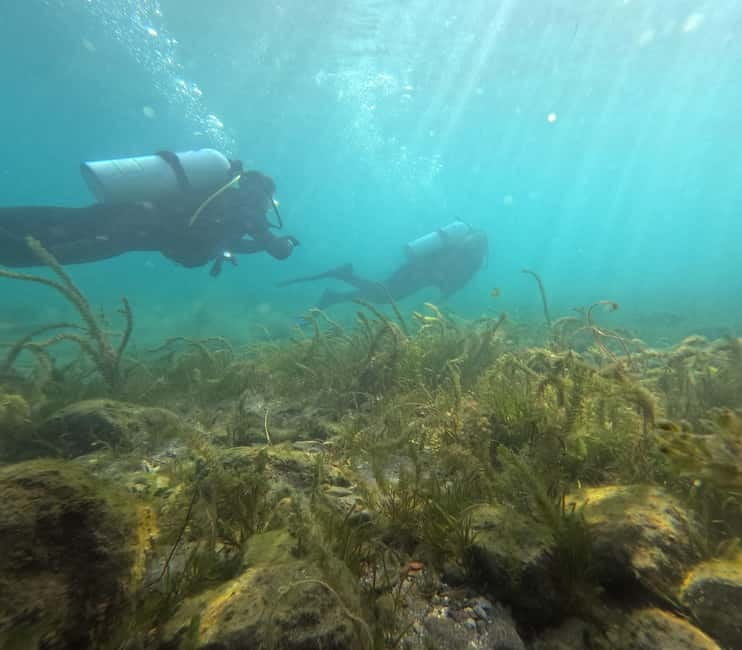 Ohrid: Scuba Diving Experience in Lake Ohrid - Key Points