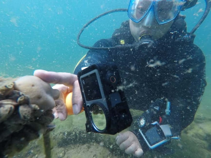 Ohrid: Scuba Diving Experience in Lake Ohrid - Comparing This Tour with Other Lake Ohrid Activities