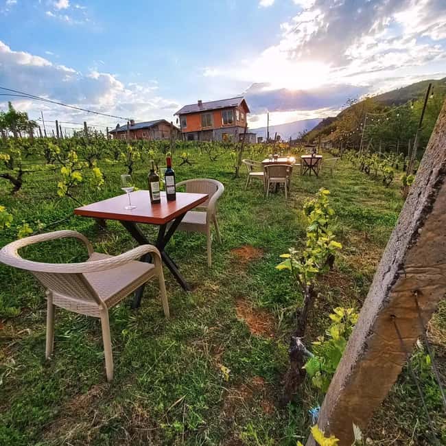 Ohrid: S&S Winery Tour and Wine Tasting Experience - Practical Details: Logistics and Group Size