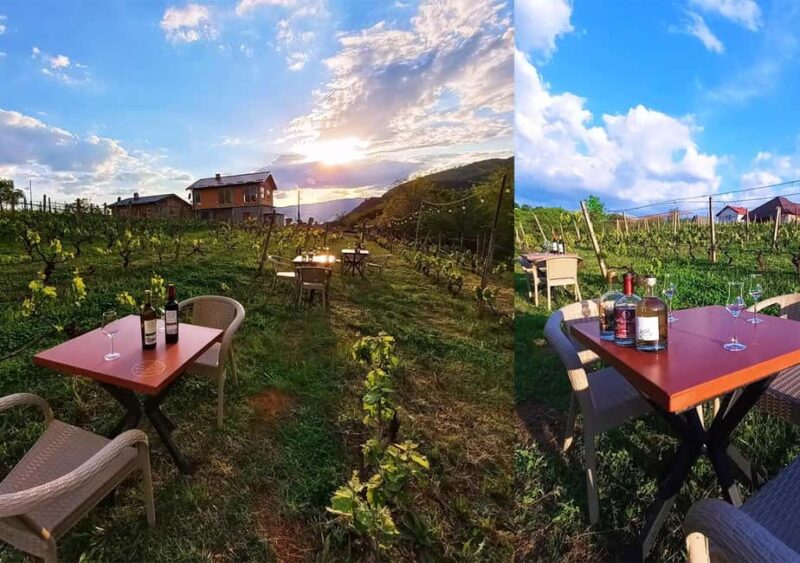 Ohrid: S&S Winery Tour and Wine Tasting Experience - Limitations and Considerations