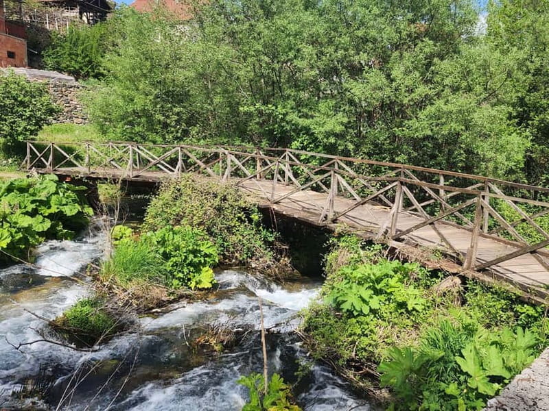 Ohrid & Traditional Village: Private Tour from Tirana/Durres - Who Will Appreciate This Tour Most