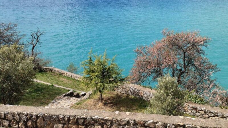 Ohrid UNESCO Heritage: Full-Day Guided Tour from Skopje - What Sets This Tour Apart