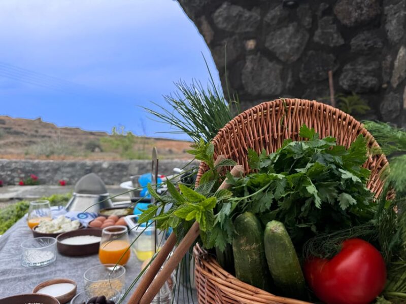 Oia: Retreat Infinity Pool Ticket with Sea and Sunset Views - Flexibility with Booking and Cancellation Policies