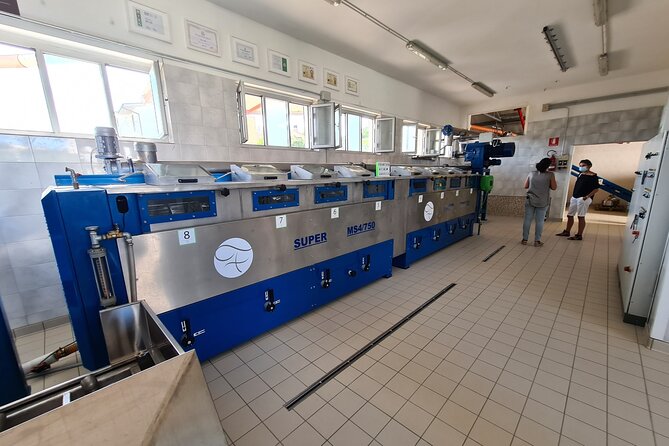 Oil Mill Private Tour with Guided Oil Tasting - Practical Details: Meeting Point and Schedule