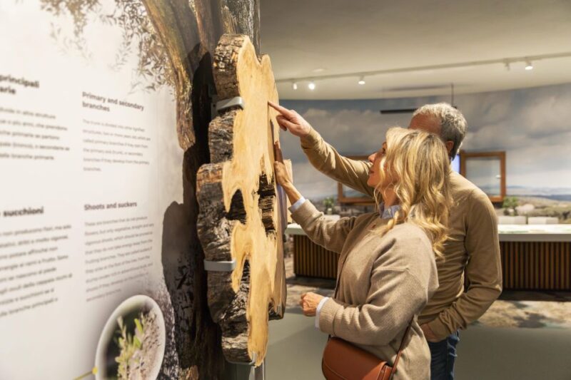 Oil Museum and Mill in Tuscany: interactive tour and tasting - The Shop and Garden Setting