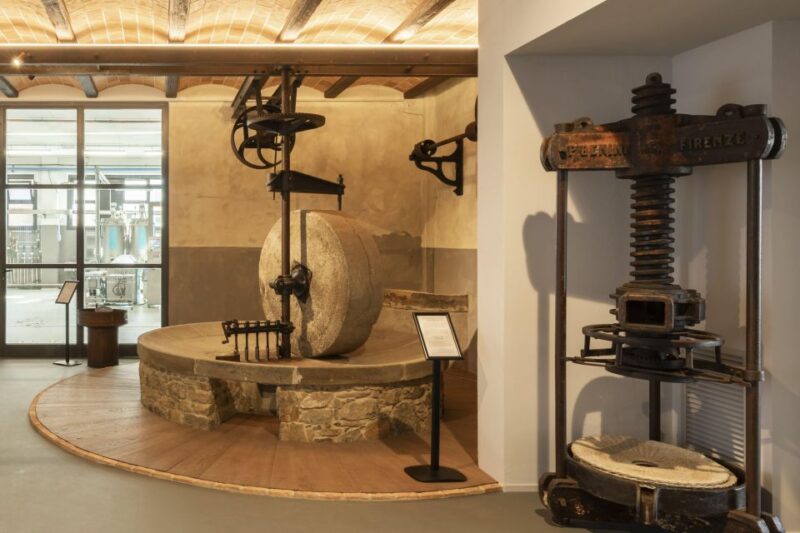 Oil Museum and Mill in Tuscany: interactive tour and tasting - Location and Accessibility