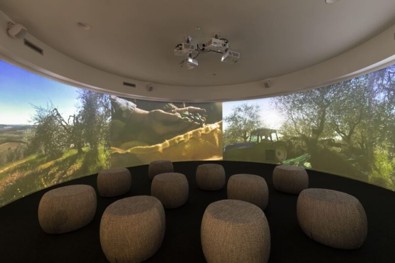 Oil Museum and Mill in Tuscany: interactive tour and tasting - Practical Details and Booking