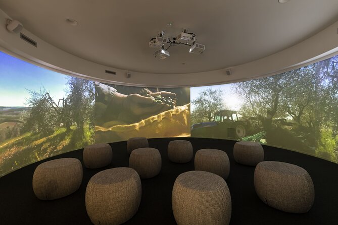 Oil museum and oil mill in Tuscany: tour and tasting - Relaxing in the Garden Among Tuscan Olive Trees