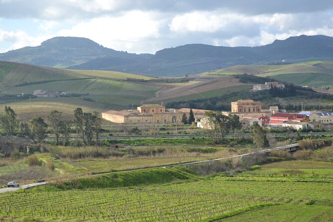 Oil Tour in Historic Baglio Florio Adamo with Lunch - Authentic Olive Oil Tour in Sicily’s Historic Baglio Florio Adamo