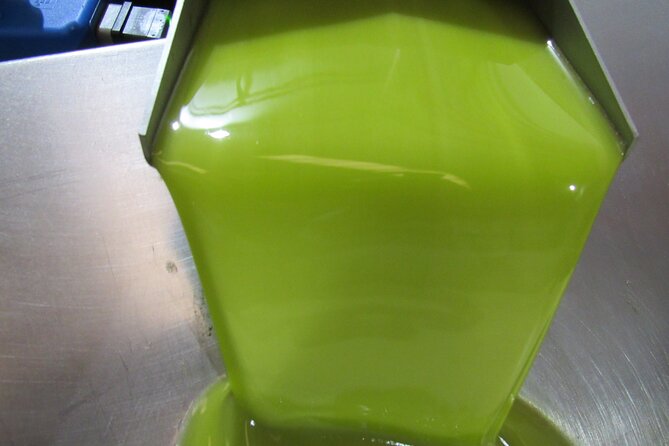 Oil tourism in Pulpí Discover the World of EVOO - Shopping for Gourmet Olive Products and Local Specialties