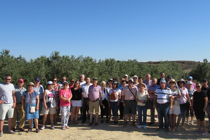 Oil tourism in Pulpí Discover the World of EVOO - Logistics and Tour Structure