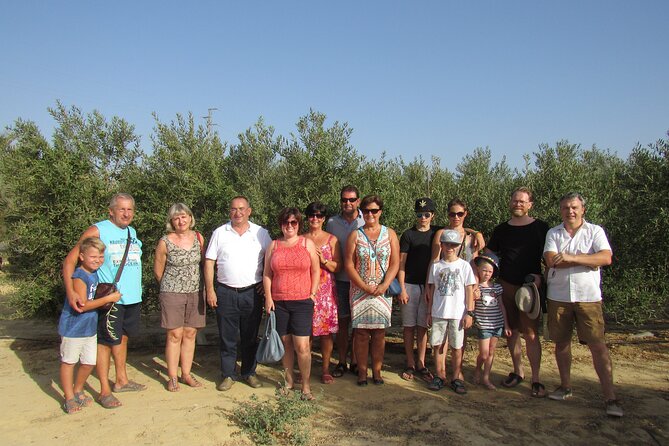 Oil tourism in Pulpí Discover the World of EVOO - Options to Customize Your Olive Oil Experience