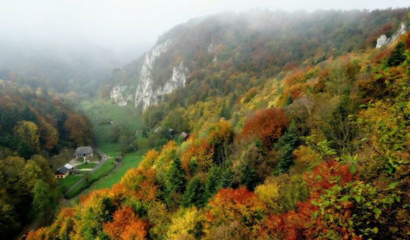 Ojcow National Park: Full-Day Trip from Krakow - Discovering the Castle Ruins at Krakow Gate