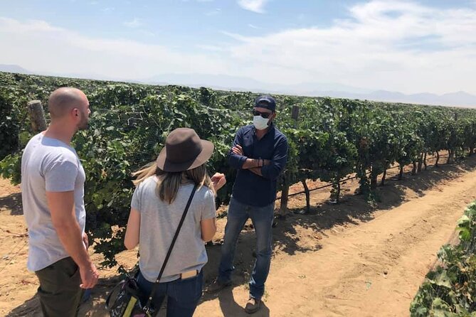 Ojos Negros Valley Wine and Cheese Route Tour in Baja California - Practical Considerations and Recommendations
