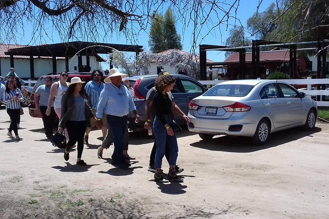 Ojos Negros Valley Wine and Cheese Route Tour in Baja California - Limitations and Considerations