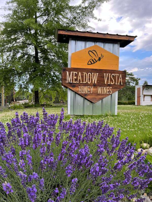 Okanagan Bee Tour, Wine Tasting and Lunch at Kelowna Winery - The Logistics and Accessibility of the Tour