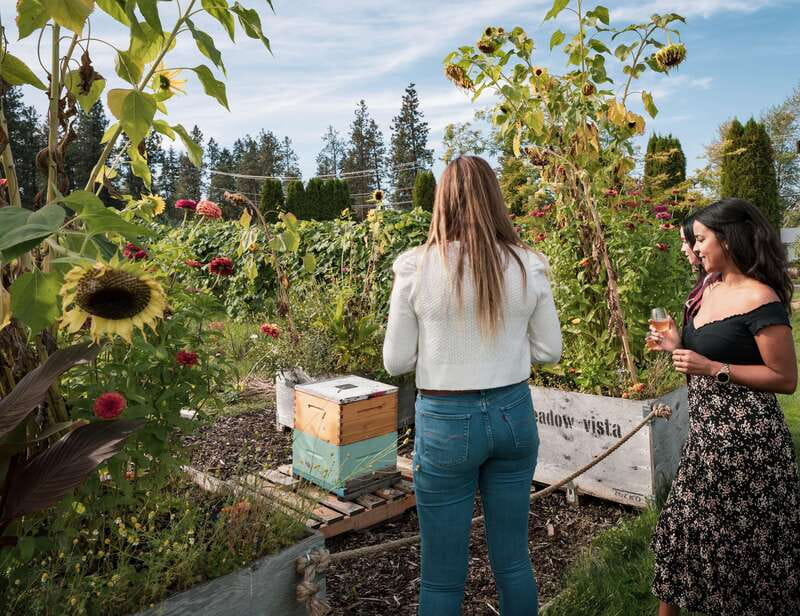 Okanagan Bee Tour, Wine Tasting and Lunch at Kelowna Winery - Meadow Vista Honey Wines: The Provider Behind the Experience