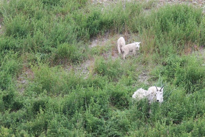 Okanagan Valley Discovery Tour - What’s Included and What to Bring