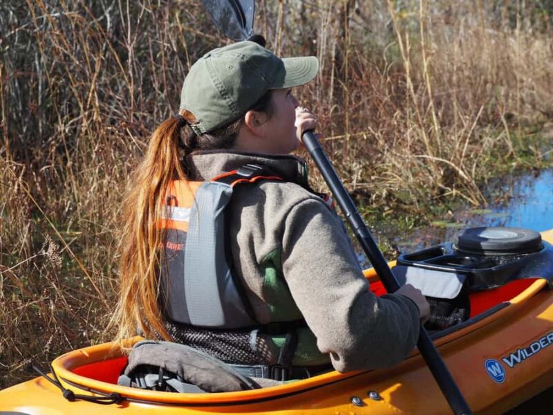 Okefenokee Swamp: Guided Kayak Tour with a Local Naturalist - Why the Okefenokee Swamp Guided Kayak Tour Stands Out