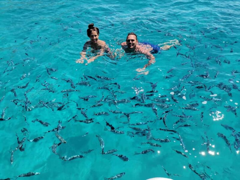 Olbia: Dinghy tour to the islands of Tavolara and Molara, swimming and snorkeling - Visiting Tavolara: A Close-Up of Sardinia’s Iconic Island