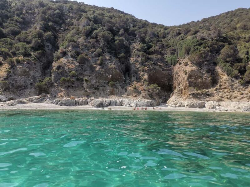 Olbia: Dolphin watching and snorkeling tour on Figarolo Island - Key Points