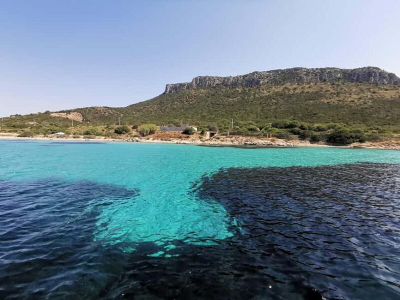 Olbia: Dolphin watching and snorkeling tour on Figarolo Island - Dolphin sightings: Inside the fish farming area or open sea