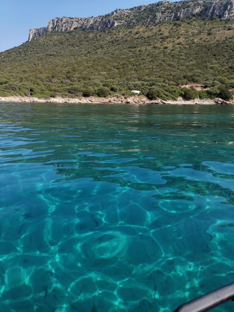 Olbia: Dolphin watching and snorkeling tour on Figarolo Island - Final thoughts on the Sardinian dolphin tour