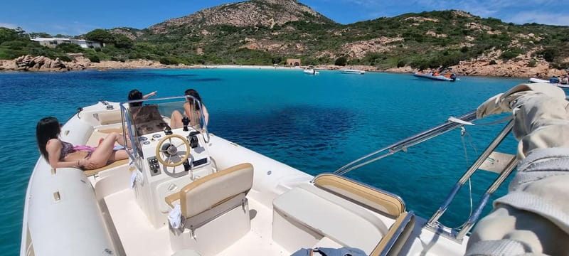 Olbia: Dolphin Watching & Swim with prosecco aperitif - Olbia: Dolphin Watching & Swim with Prosecco Aperitif - An Eco-Friendly Marine Adventure in Sardinia