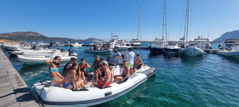 Olbia: Dolphin Watching & Swim with prosecco aperitif - Marine Life and Snorkeling Opportunities