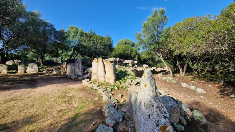 Olbia: Guided Tour with Archaeological Sites and Aperitif - Visiting the Nuraghe of Cabu Abbas and the Tomb of the Giants of Monte e SAbe
