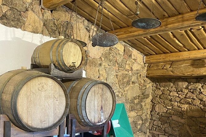 Olbia LONGEVITY TOUR in an ancient village: pasta class,wine,food - Savoring Sardinian Specialties in a Family-Style Meal