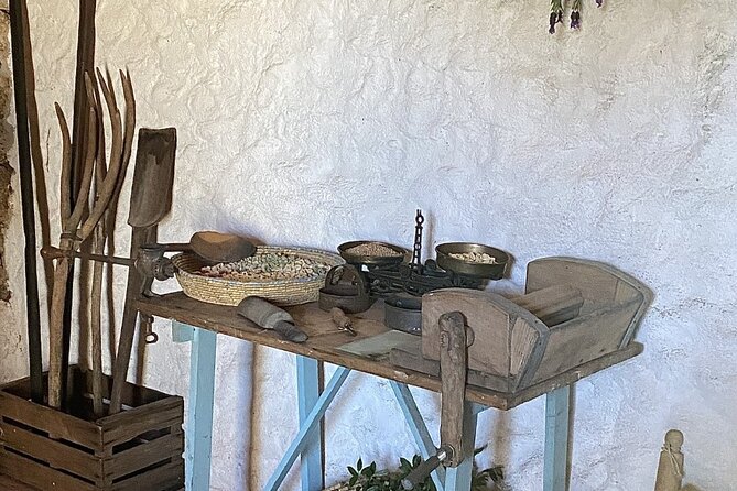 Olbia LONGEVITY TOUR in an ancient village: pasta class,wine,food - All-Inclusive Experience: Tools, Food, and Beverages