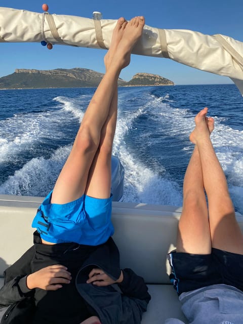 Olbia: Sunset and dolphin watching - The Return Journey: Sailing Past Sassari Province