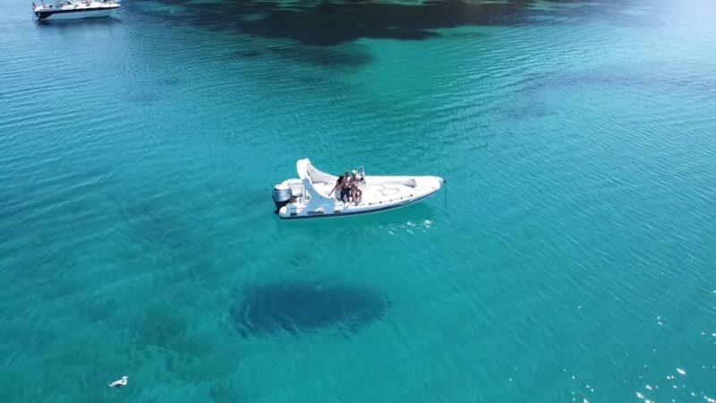 Olbia: Sunset and dolphin watching - Comparing Similar Sardinian Coastal Tours