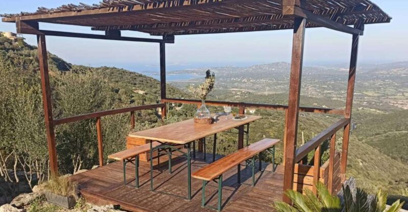 Olbia: visit a gin-making factory with tasting - Tasting a Crafted Cocktail with Fresh Oysters and Olives