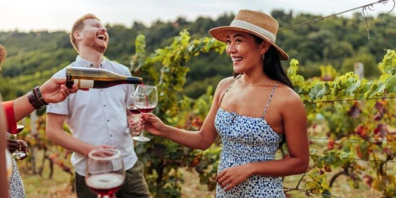 Olbia: Wine Tour in Gallura + Tasting + Transport Included - Key Points