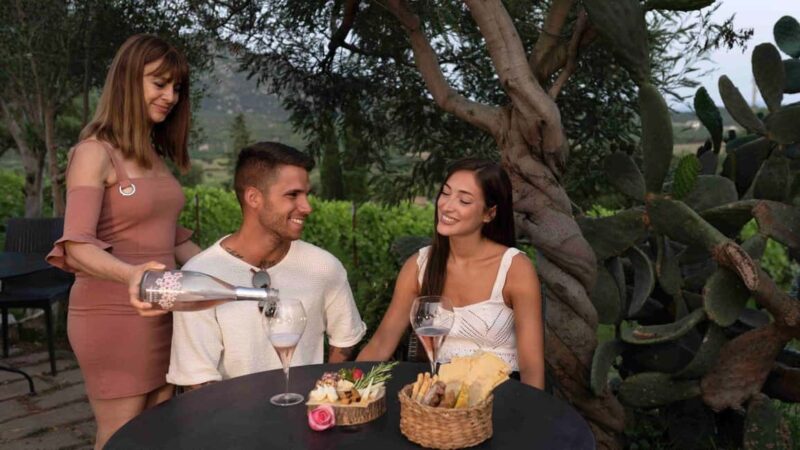 Olbia: Winery Aperitif with Local Products and Wine - The Cozy Vineyard Setting Near Olbia