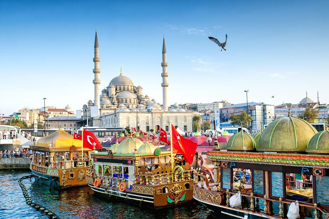 Old Istanbul Private Tour for Kids and Families - Logistics and Meeting Details