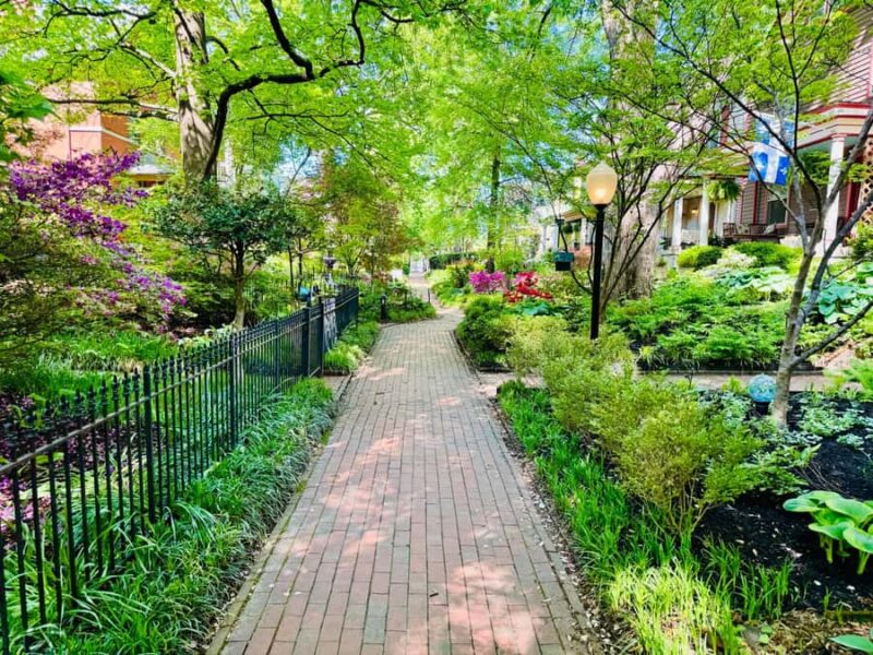 Old Louisville: History and Architecture Walking Tour - Key Points