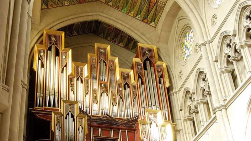 Old Quarter: Austrias, Cathedral, and Royal Palace with Local Guides - Why Choose This Tour Over Others