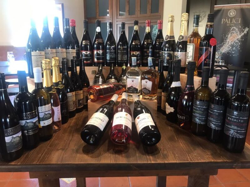 Old Sicily and Etna wine tasting tour from Taormina - Practical Details: Transportation and Group Size