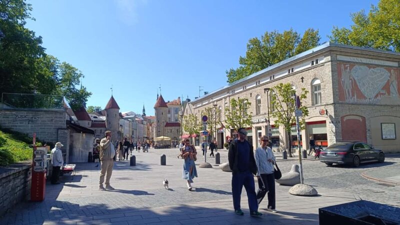 Old Tallinn Highlights & its Medieval Past - A Well-Paced, Focused Introduction to Tallinn’s Medieval Past