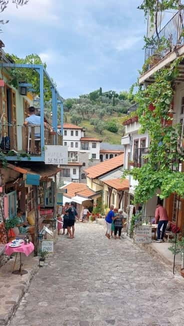 Old Town Bar, Old Olive Tree and the region of olive groves - Key Points