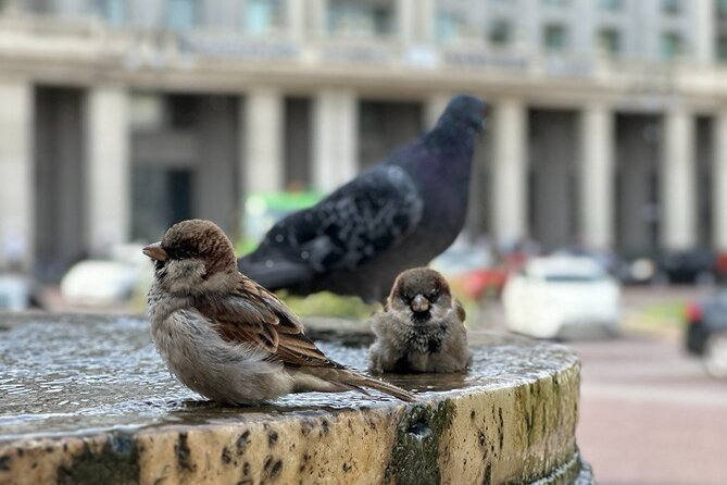 Old Town Tbilisi: Walking Tour & Wine Tasting with a Local Guide - The Iconic Kartlis Deda and the Mtkvari River